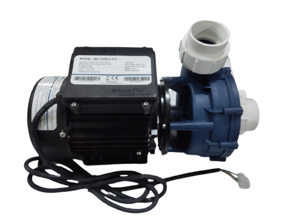 Pump MS-1-V25-2.5-1 3.0HP 220-240V 50HZ GECKO